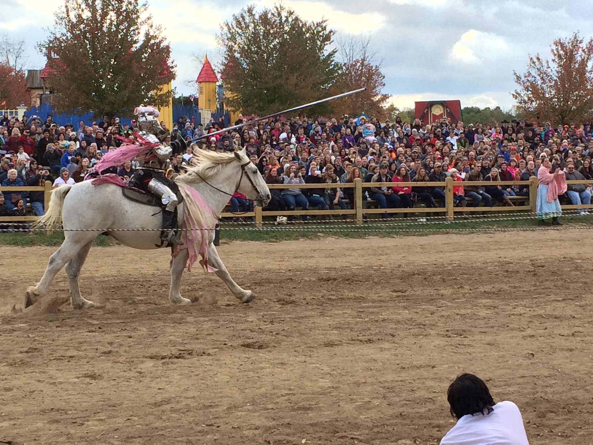 Photo from the Ohio Renaissance Festival in 2015, image 18