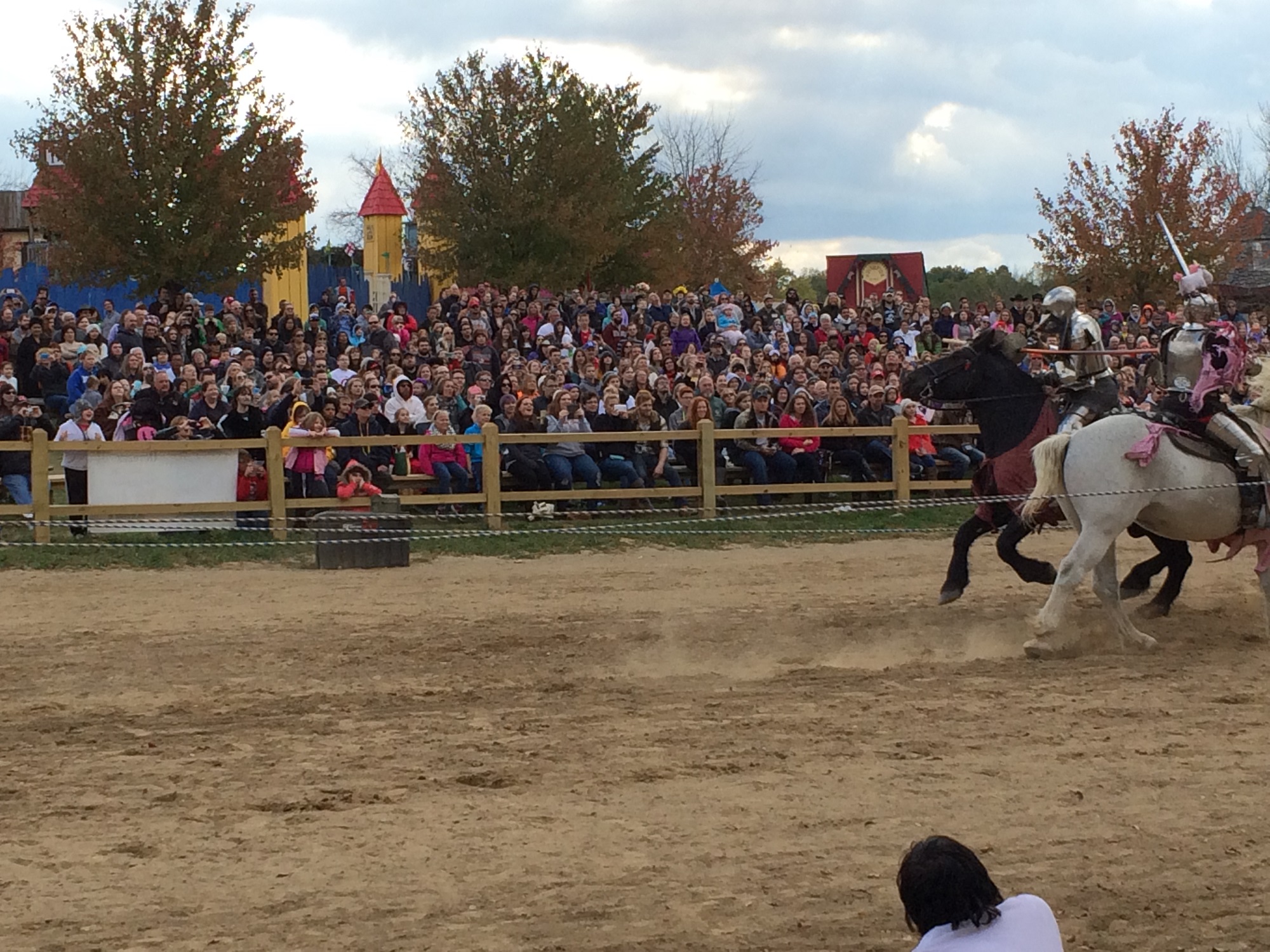 Photo from the Ohio Renaissance Festival in 2015, image 19