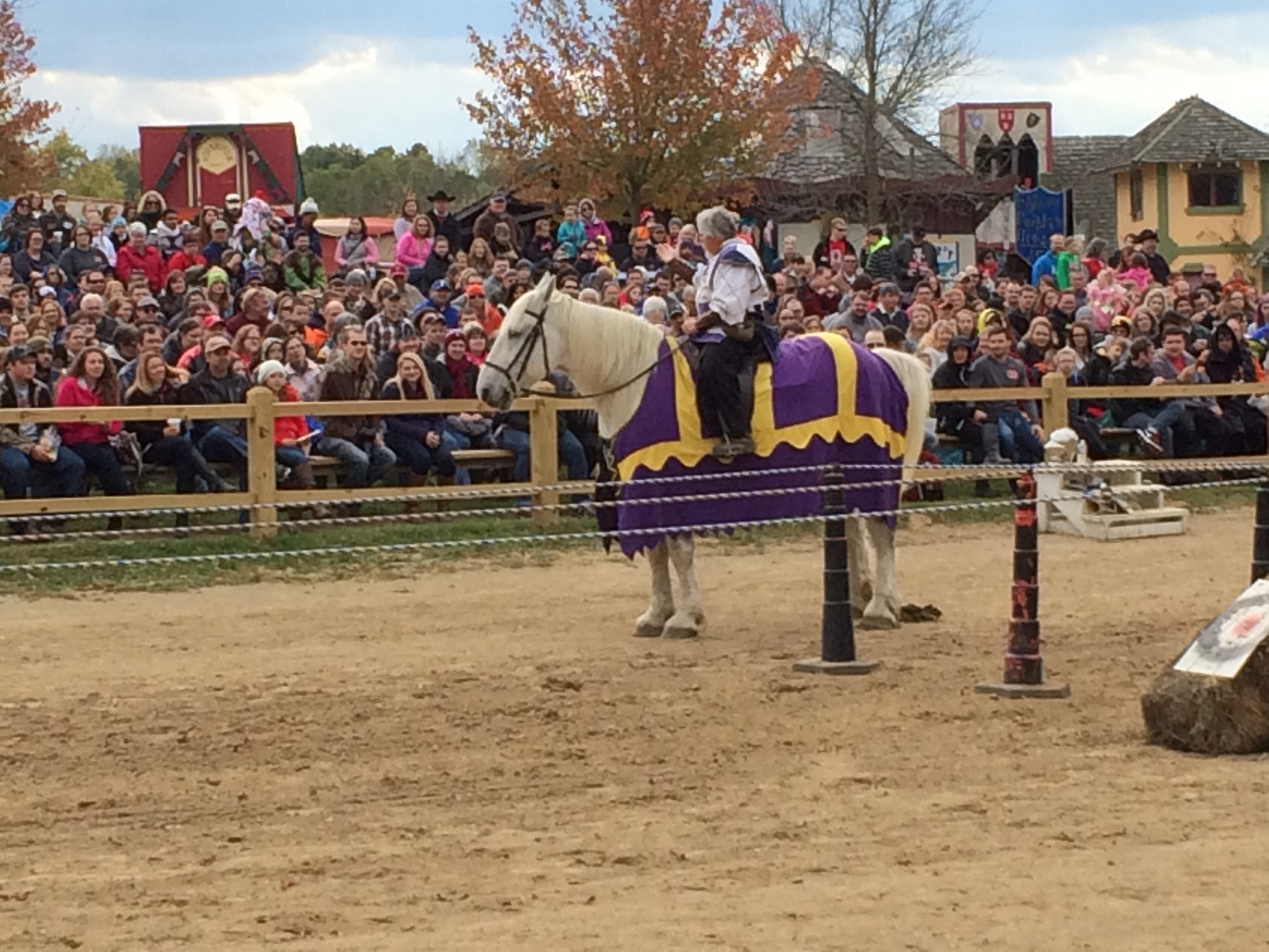 Photo from the Ohio Renaissance Festival in 2015, image 2
