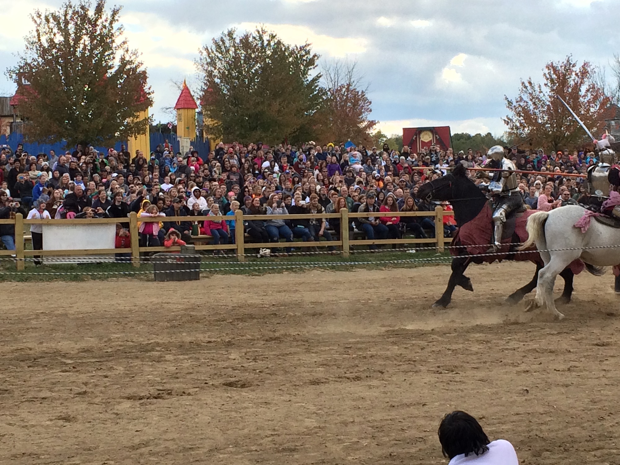 Photo from the Ohio Renaissance Festival in 2015, image 20