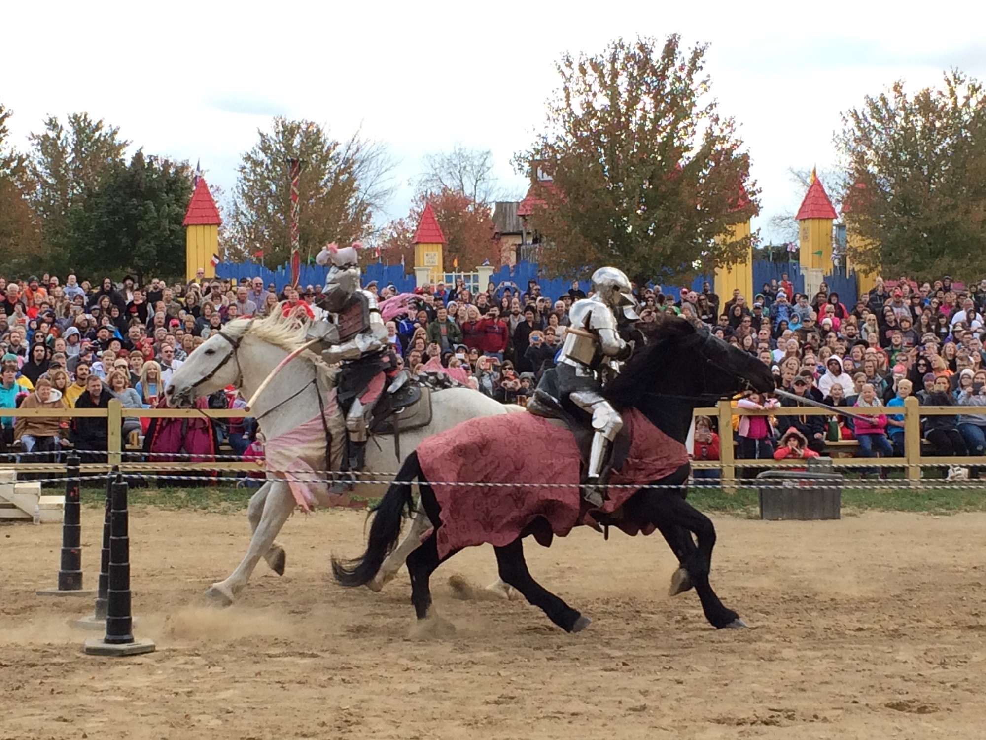 Photo from the Ohio Renaissance Festival in 2015, image 21