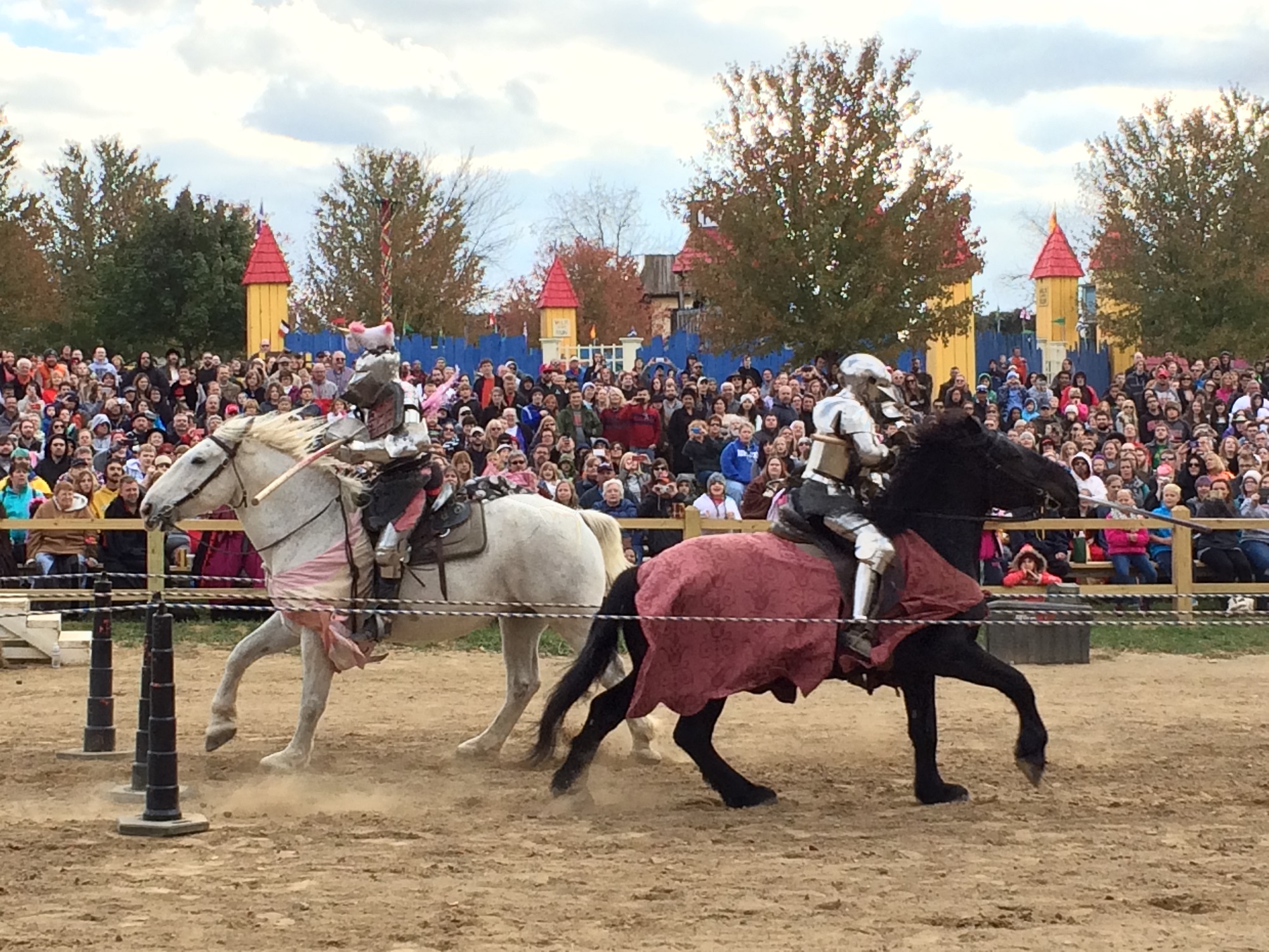 Photo from the Ohio Renaissance Festival in 2015, image 22