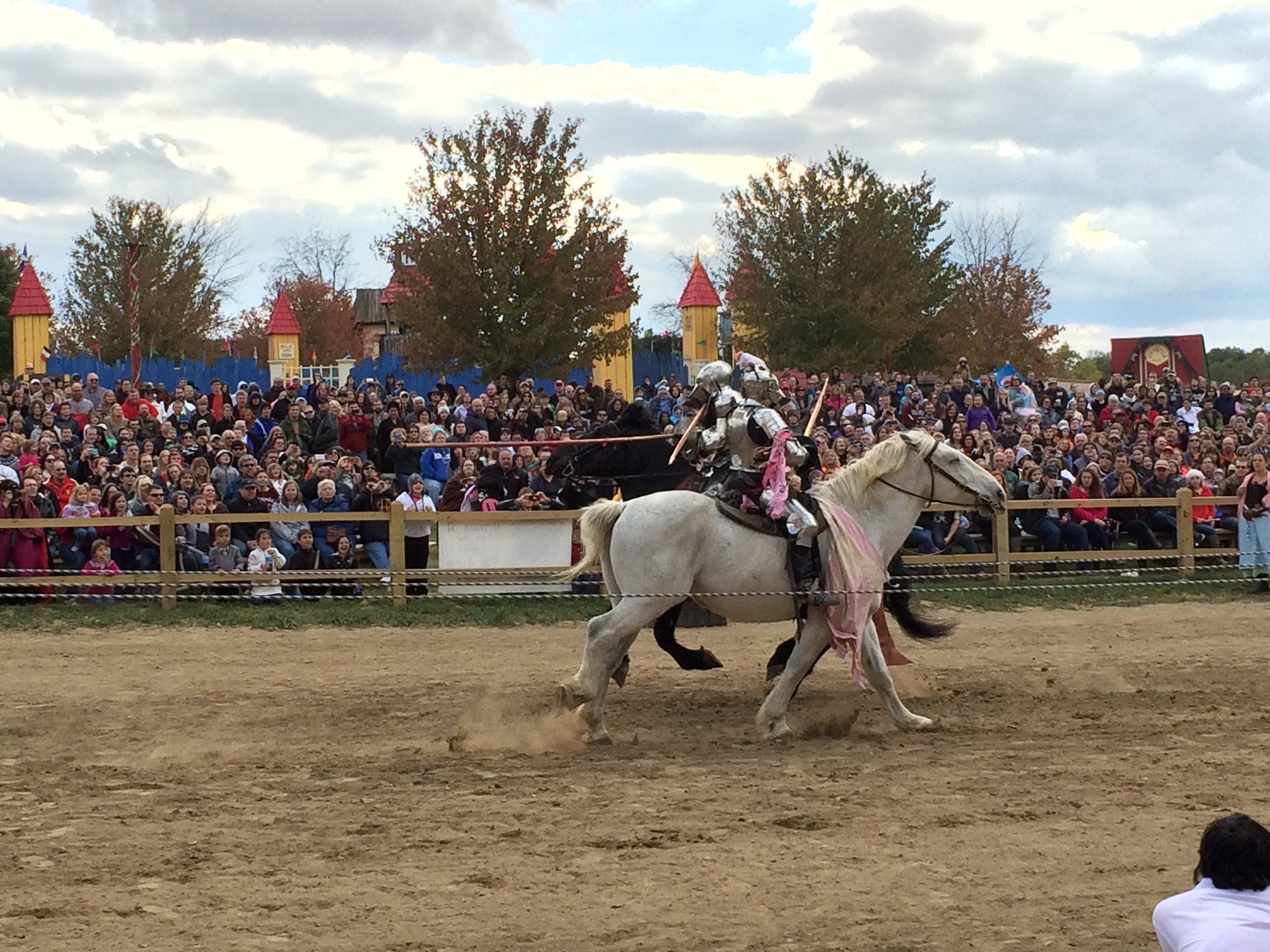 Photo from the Ohio Renaissance Festival in 2015, image 24