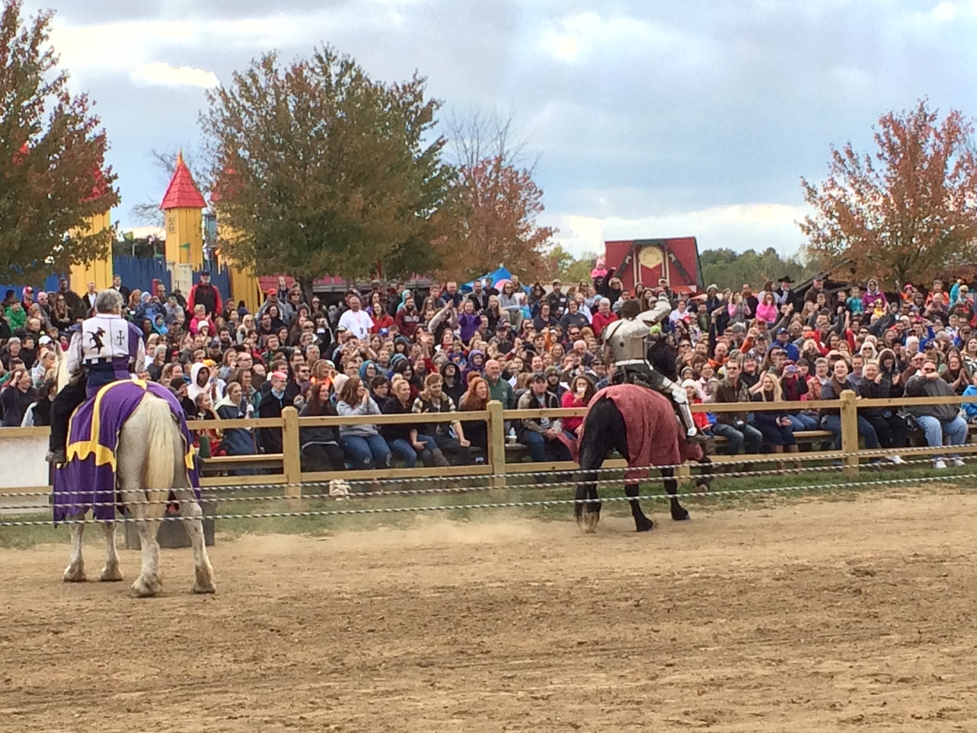 Photo from the Ohio Renaissance Festival in 2015, image 3