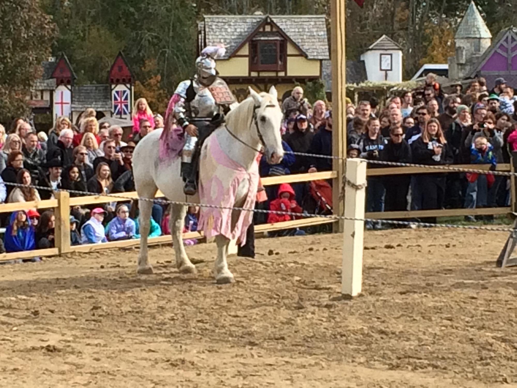 Photo from the Ohio Renaissance Festival in 2015, image 6