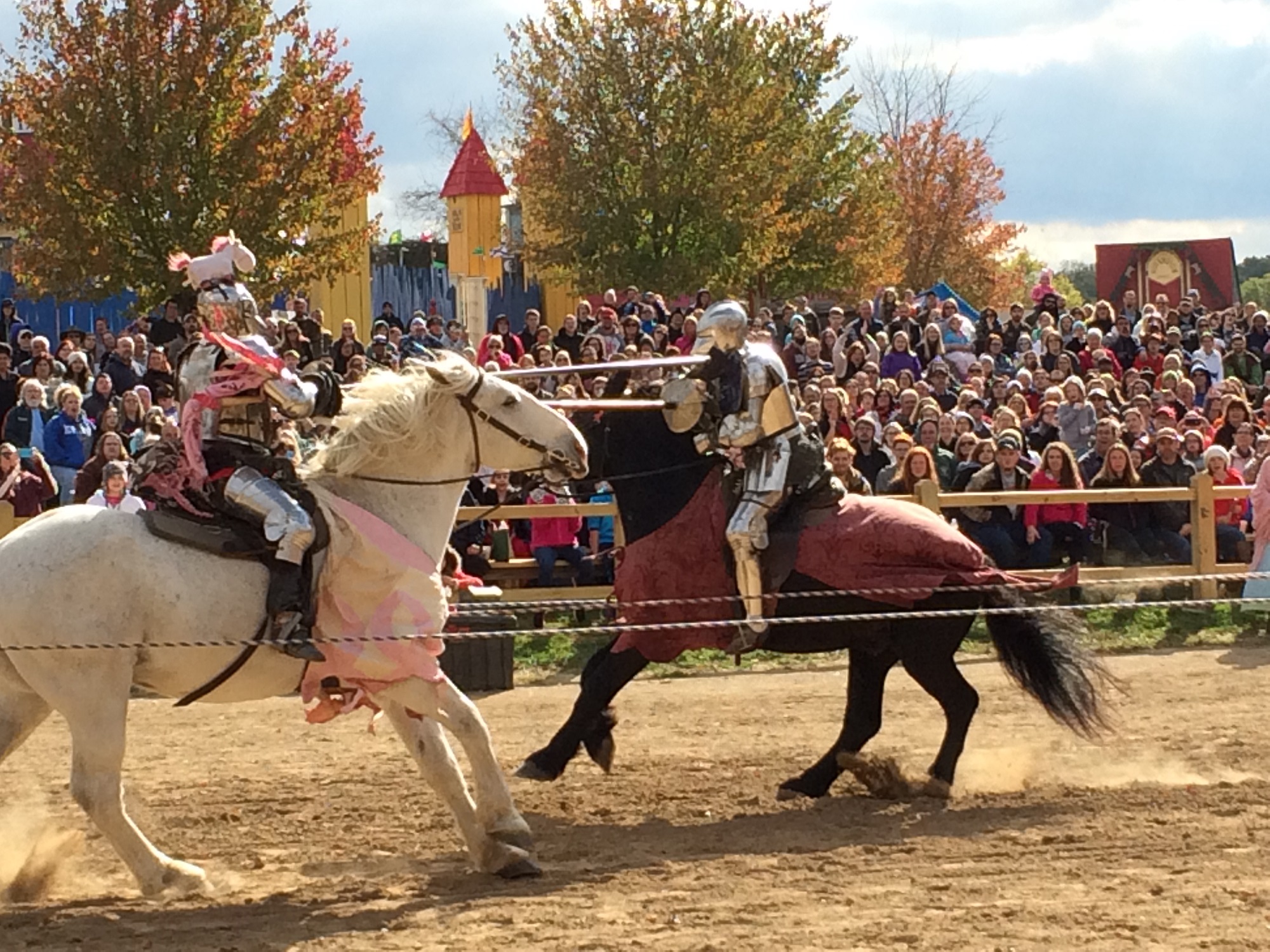 Photo from the Ohio Renaissance Festival in 2015, image 7
