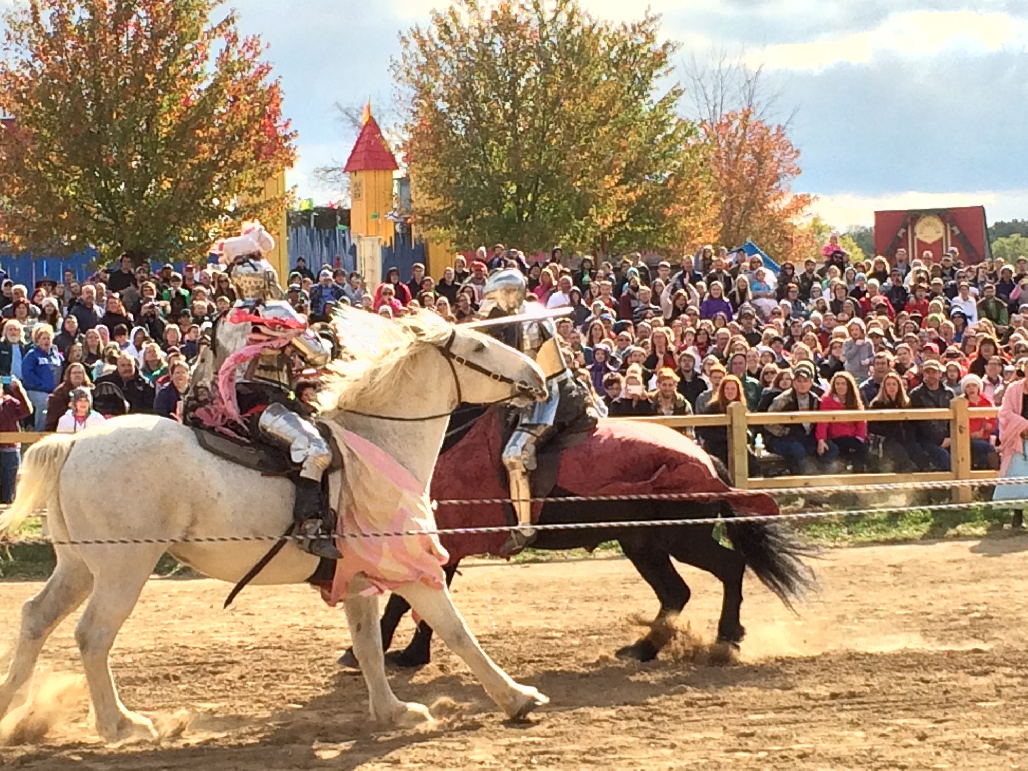 Photo from the Ohio Renaissance Festival in 2015, image 8
