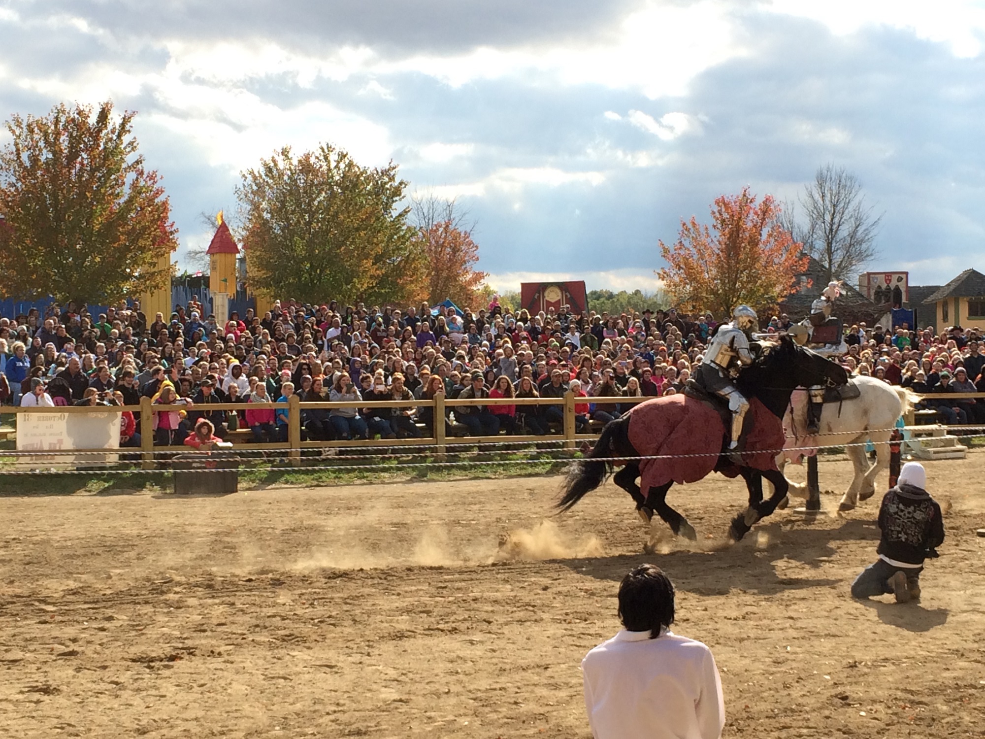 Photo from the Ohio Renaissance Festival in 2015, image 9