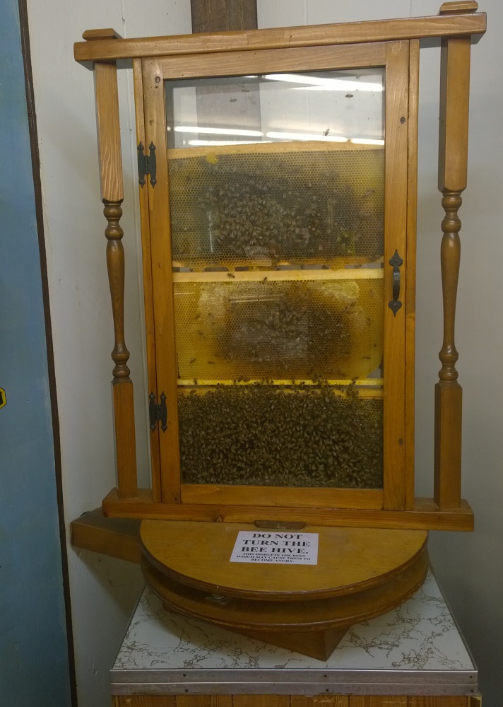 Photo from Stuckey Farms in 2015, image 5